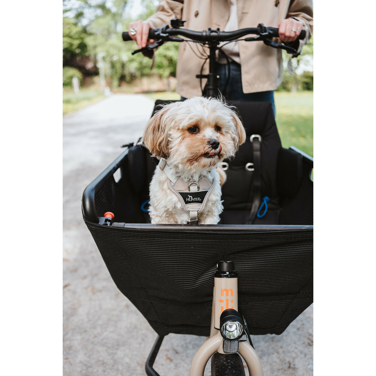 Hundesele Hunter DIVO UP Beige XS